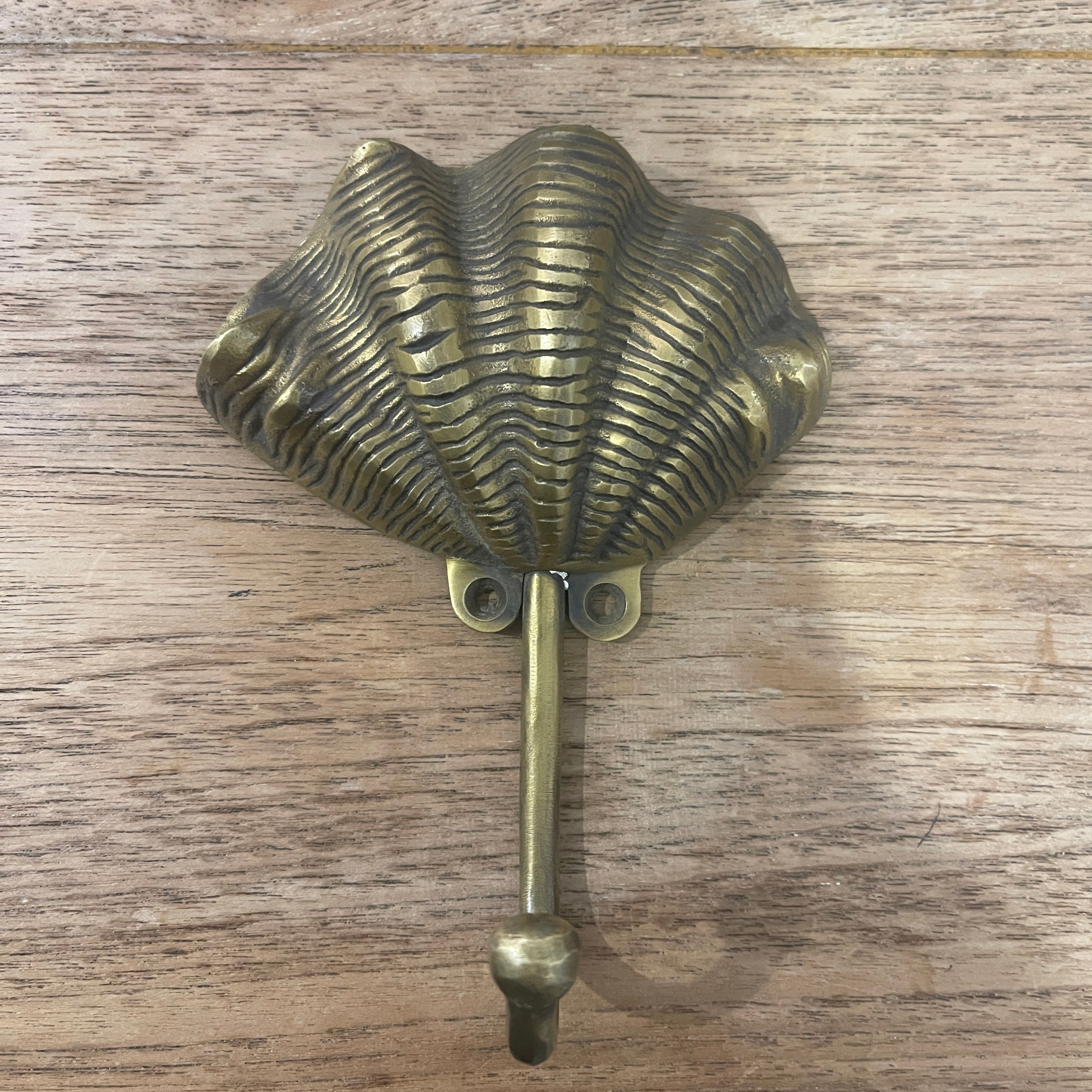 Clam Shell Hook