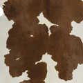 Exquisite Natural Cow Hide Brown White